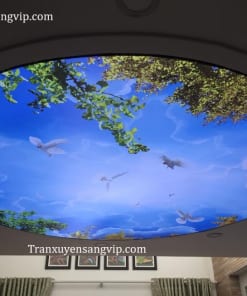 Trần Xuyên Sáng Mái Vòm