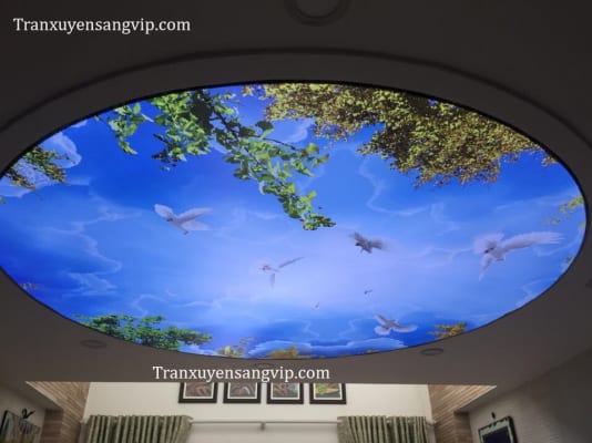Trần Xuyên Sáng Mái Vòm