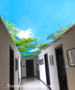Trần Xuyên Sáng Phong Cảnh 3D