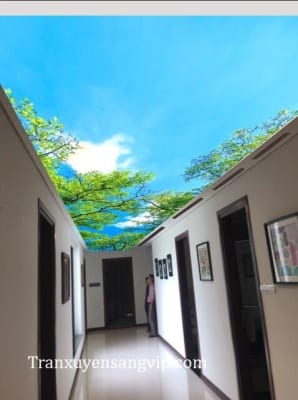 Trần Xuyên Sáng Phong Cảnh 3D