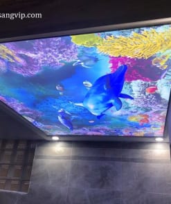 Trần Xuyên Sáng Phòng Ngủ Trẻ