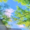 Trần Xuyên Sáng Tại Hà Nam