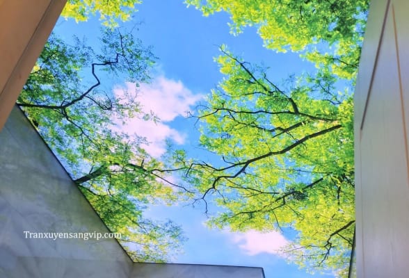 Trần Xuyên Sáng Tại Hà Nam